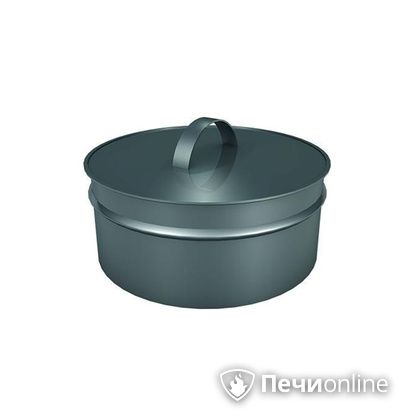 Заглушки Теплов и Сухов Заглушка ревизии Термо-Р 304 0.5 D220(120) в Смоленске